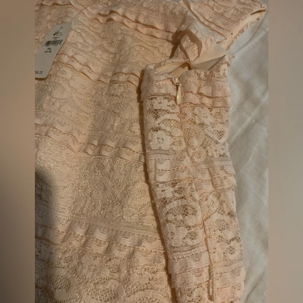 NWT kids Gap XXL 14-16 Blush pink lace dressy dress, with tiered ruffles lined
